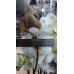 Орхидея Королевская белая 4 цветоноса